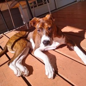 Meet your Posher, Destiny